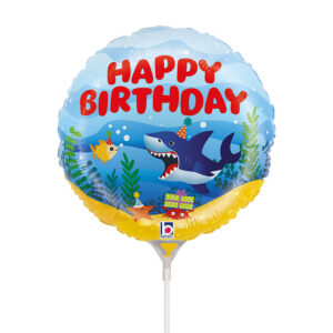 R09 Birthday Ocean Party