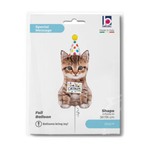 Cue The Catfetti Cat