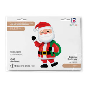 Special Delivery Santa