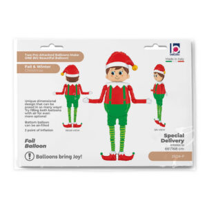 Special Delivery Elf