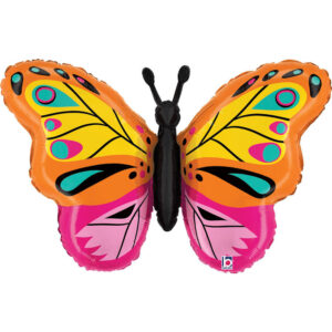 Colorful Butterfly