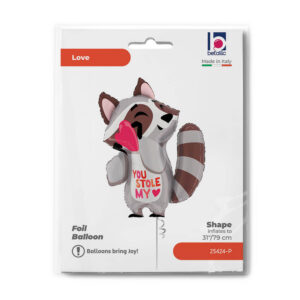 Stole My Heart Raccoon