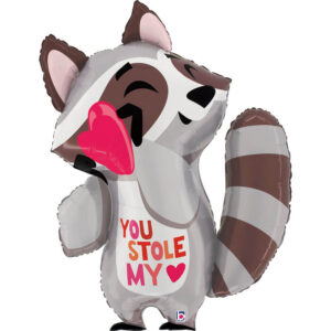 Stole My Heart Raccoon