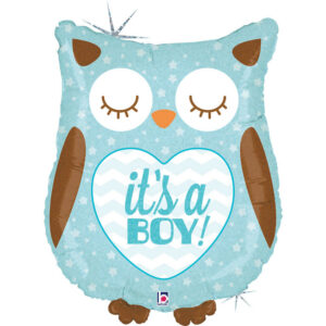 It's A Boy Baby Owl