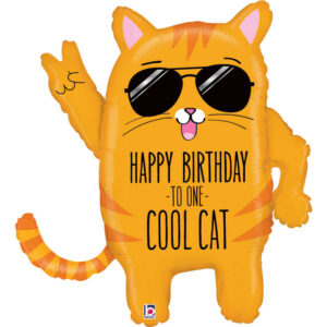 Cool Cat Birthday