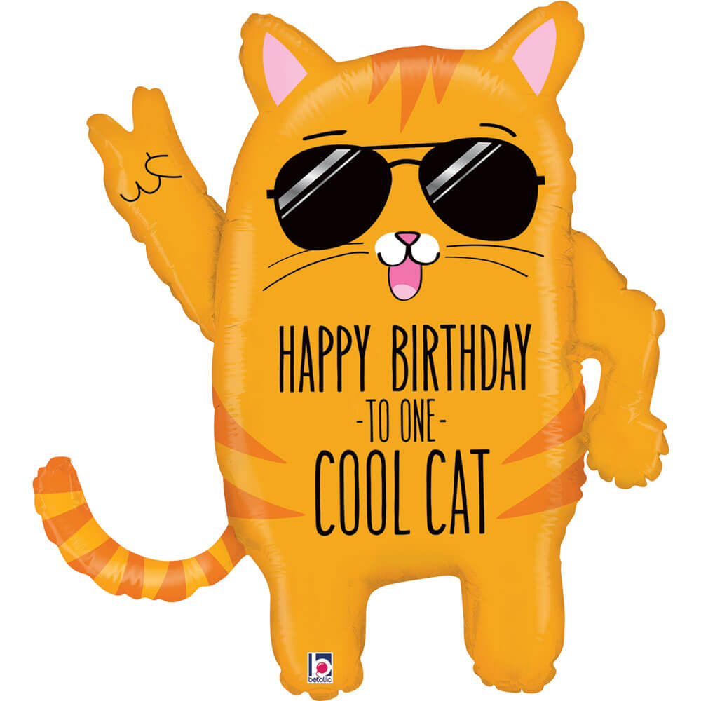 Cool Cat Birthday