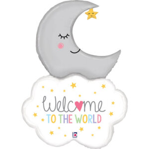 Welcome Baby Moon
