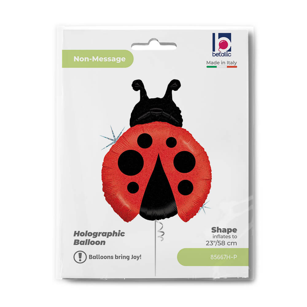 Little Ladybug - Afbeelding 2