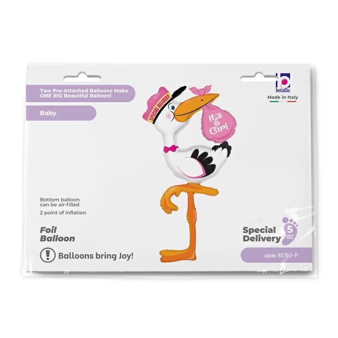 Special Delivery Girl