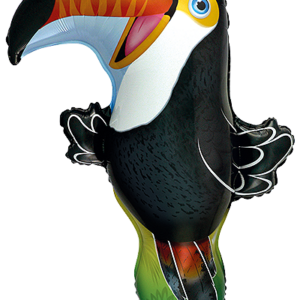 Toucan
