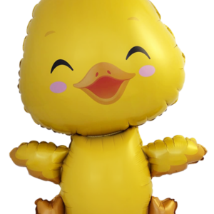 Little Duck