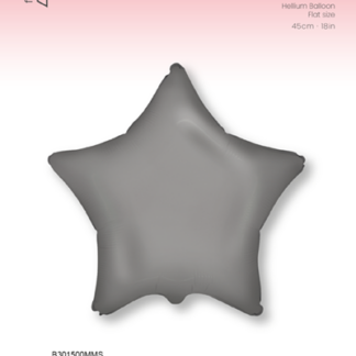 Ster Matte Moonlight Zilver