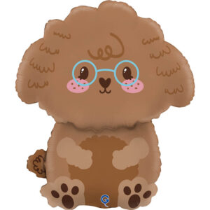 Cute Toy Poodle