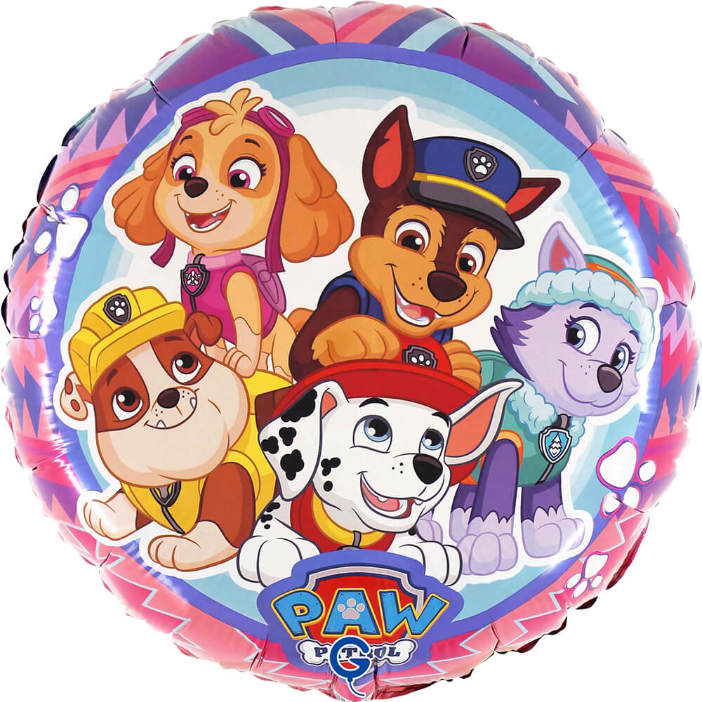 R18 Paw Patrol - Adventure