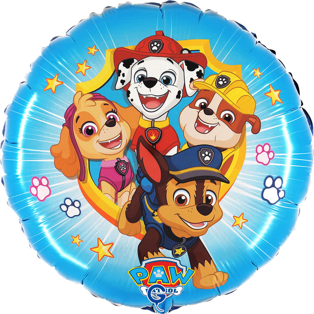 R18 Paw Patrol - Action